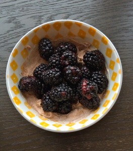 cocoa greek yogurt and black berries