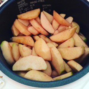 apples in slow cooker