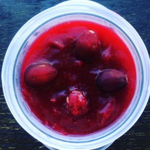 IMG 3627 300x300 - Seasonal Fave: Cranberry Sauce