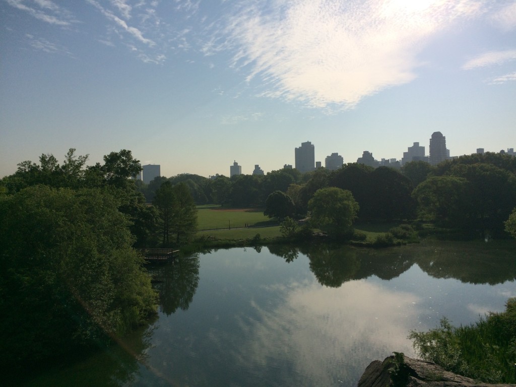 Central Park morning