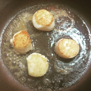 cooking scallops