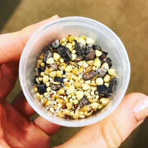 Chia-Seeds-Cacao-Nibs