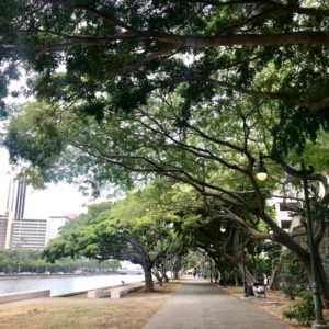 Hawaii-path-Valerie